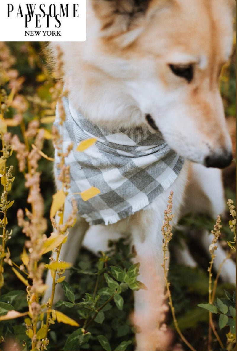 Sawyer Gingham Pet Bandana