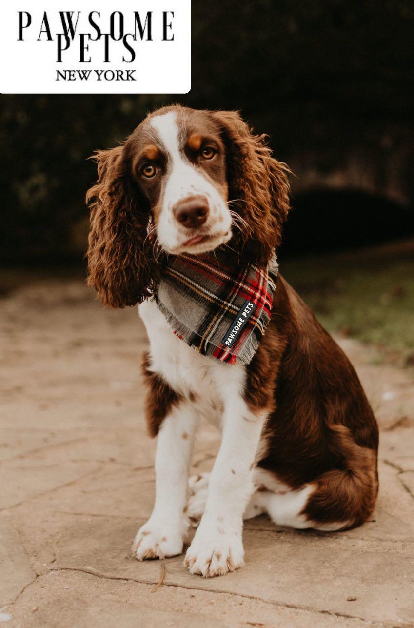 Noelle Festive Plaid Pet Bandana