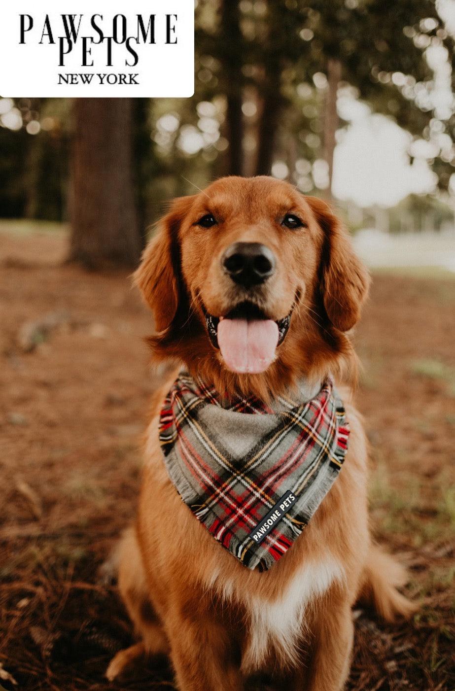 Noelle Festive Plaid Pet Bandana