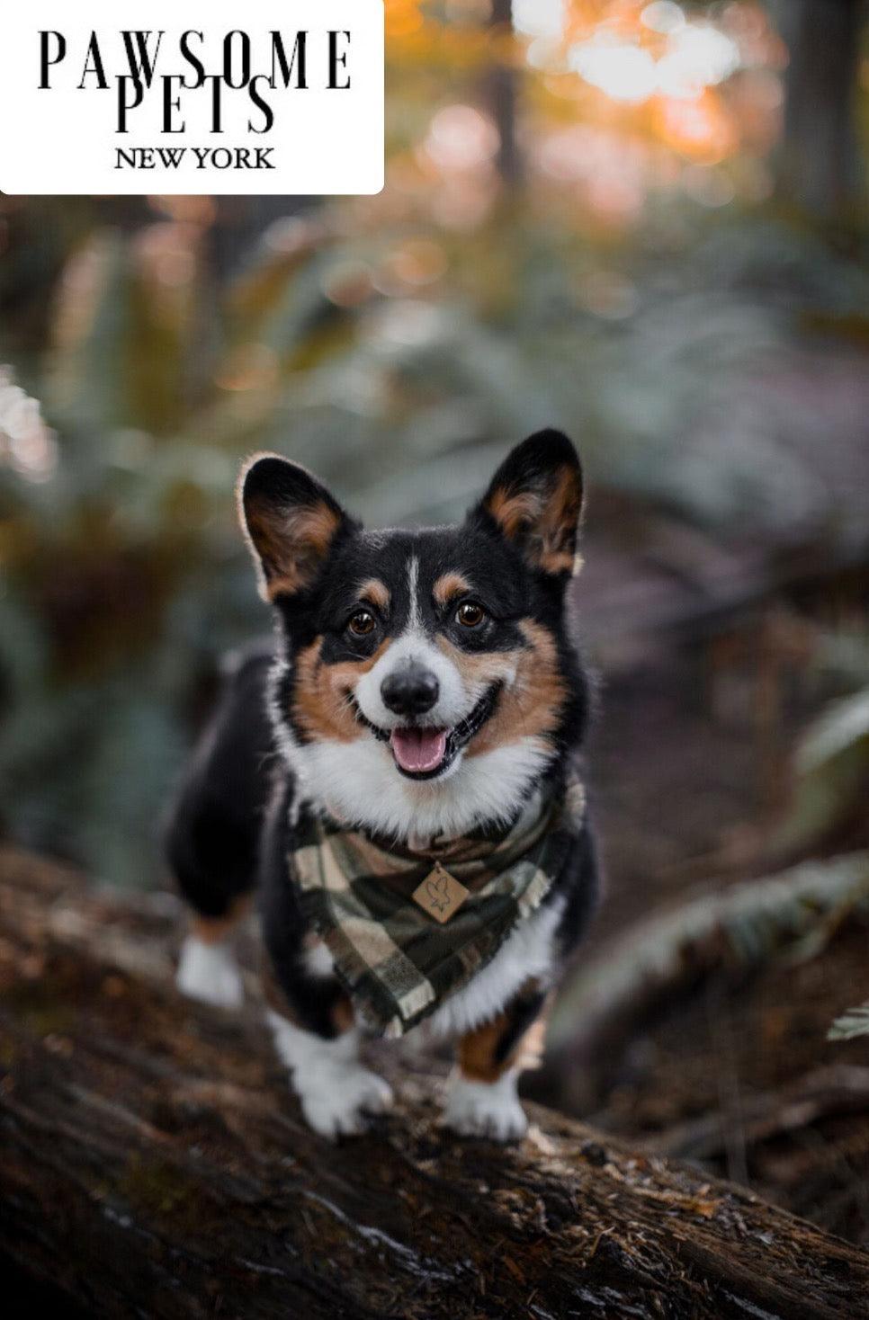 Olive Green Pet Bandana