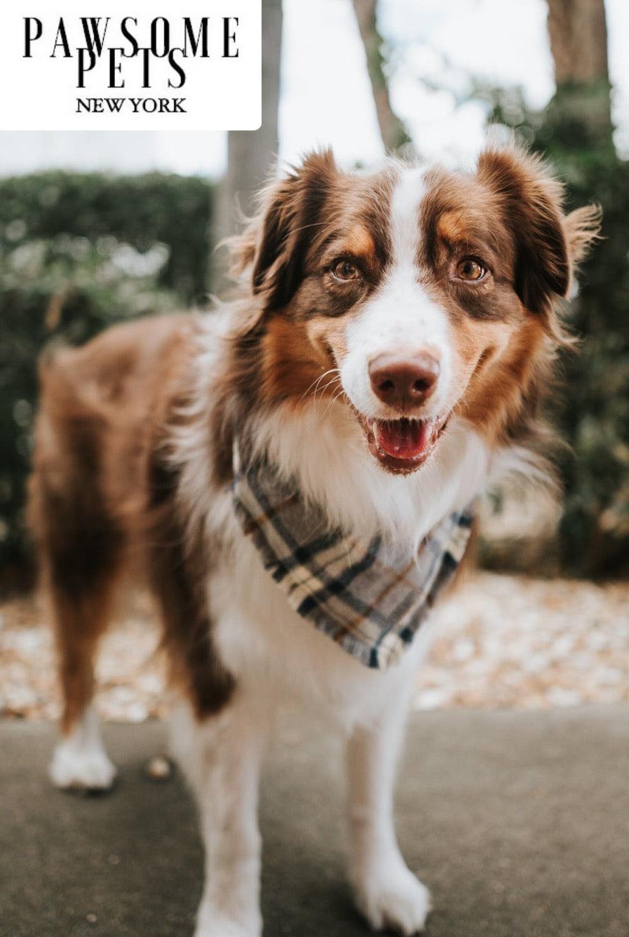 Porter Plaid Pet Bandana